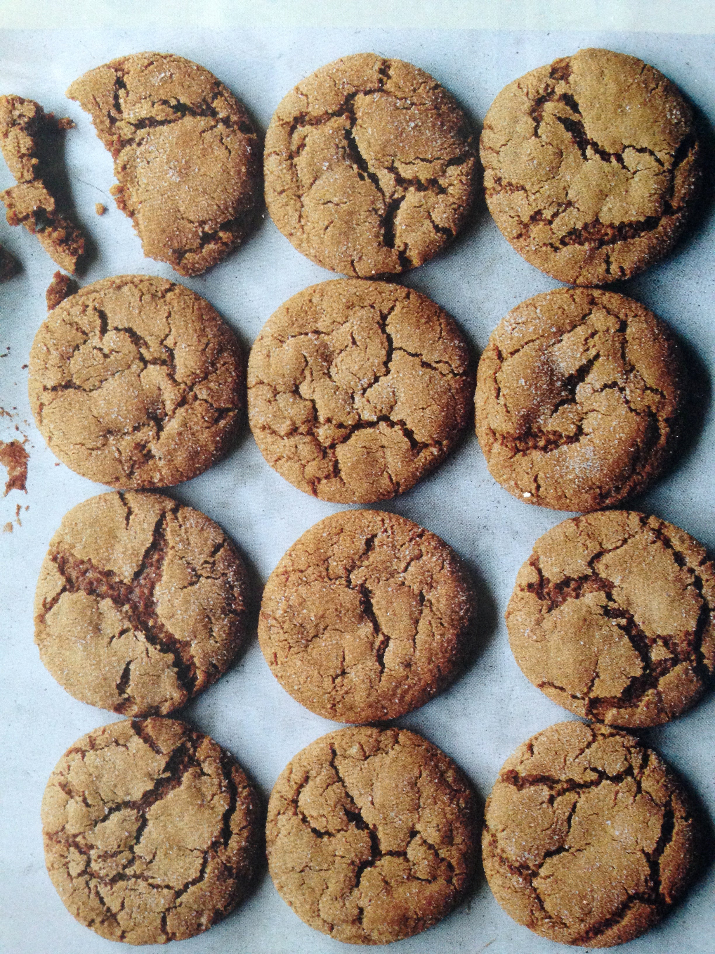 Almost Rum Cane Surup Ginger Bread Cookies, freshly out of the oven, for immediate enjoyment
